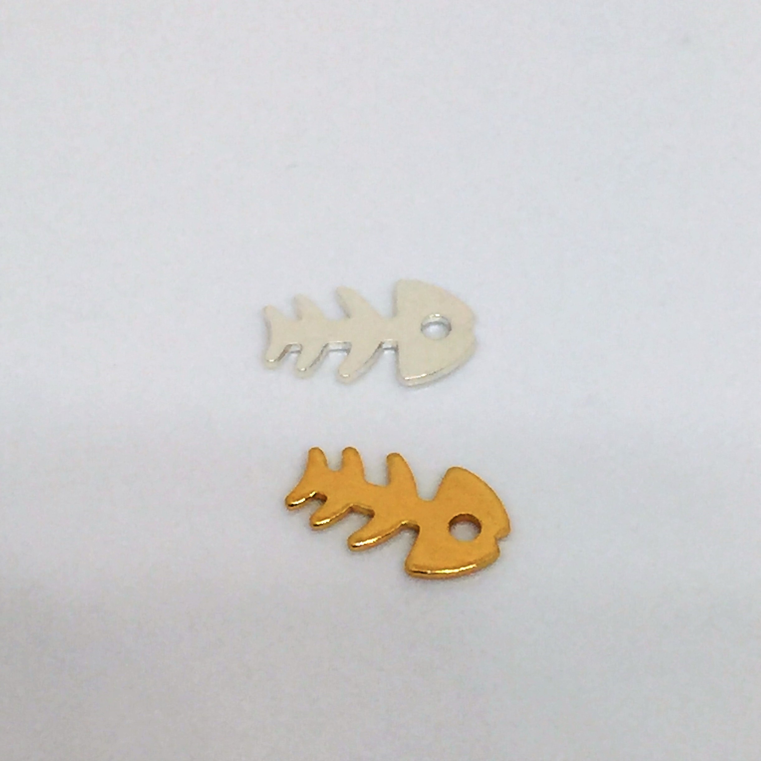 SQUELLETTE POISSON CT2