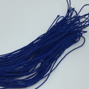 POLY-BLEU-ROI-300x300